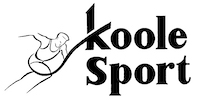 Logo sponsor